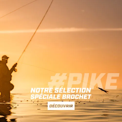 Brochet à la mouche